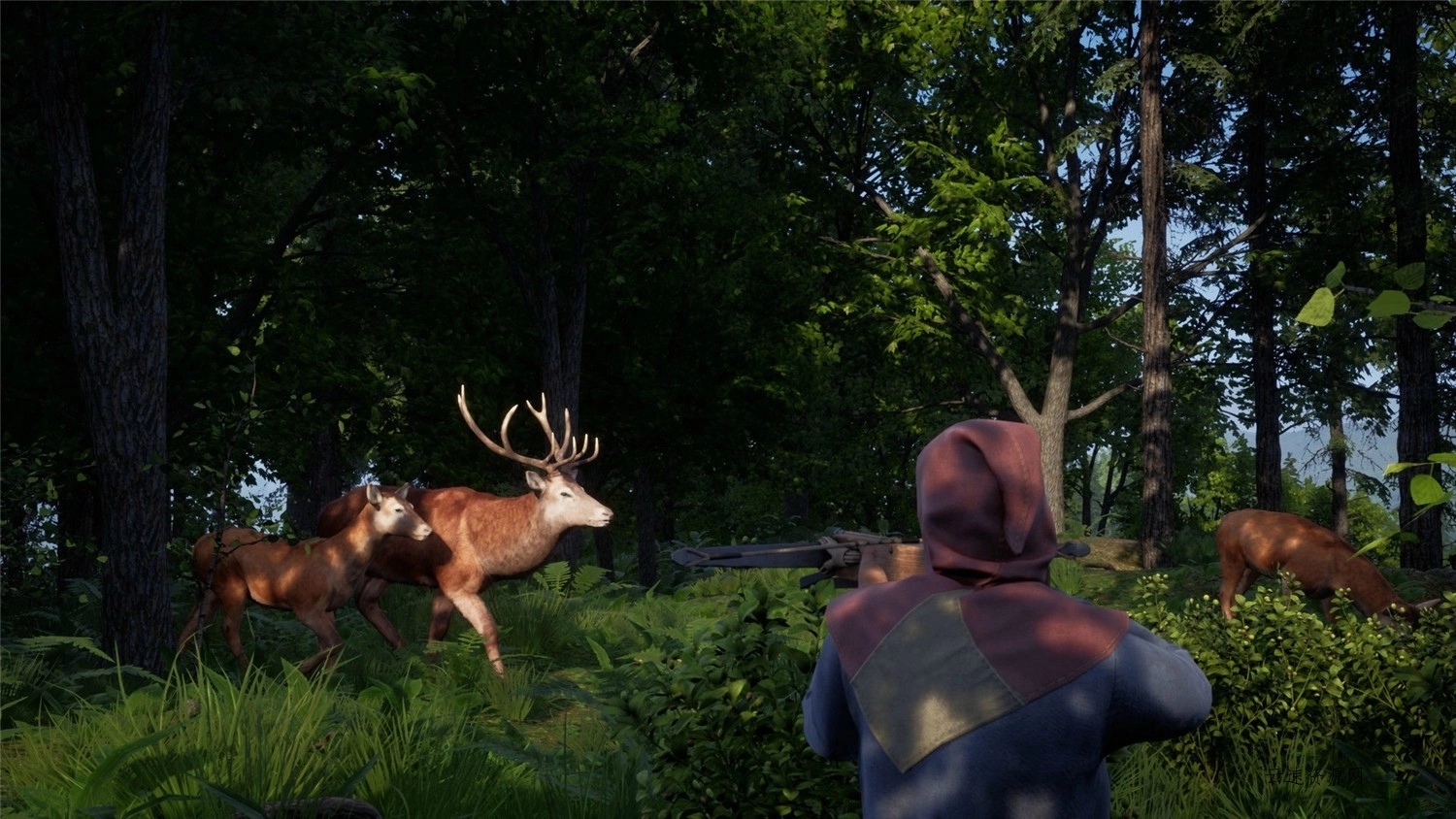 《中世纪王朝》v2.1.0.9中文版源码网-手游源码|端游源码|小程序源码|网站模板资源免费分享下载 - 云速资源网多元化资源共享平台