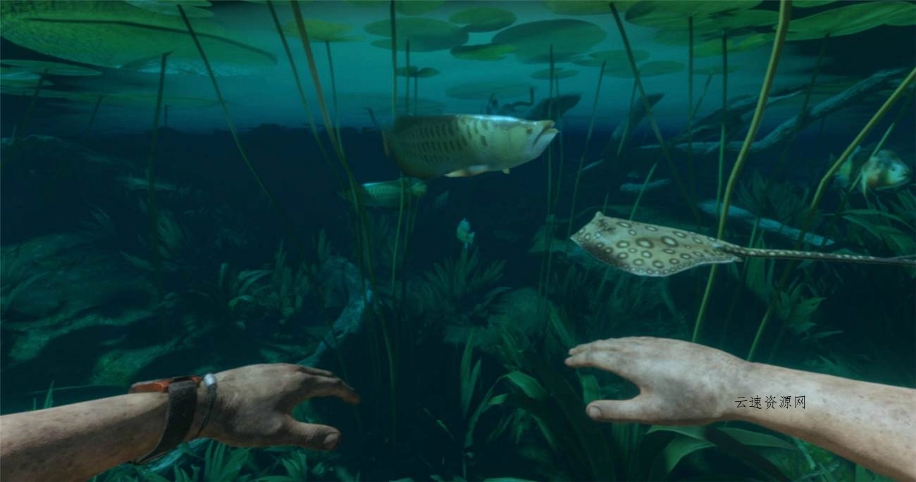 《绿色地狱》v2.9.0中文版源码网-手游源码|端游源码|小程序源码|网站模板资源免费分享下载 - 云速资源网多元化资源共享平台