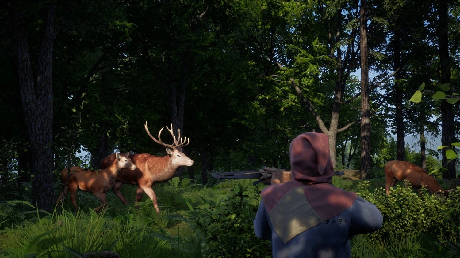 1606039410909826.jpg 2.jpg