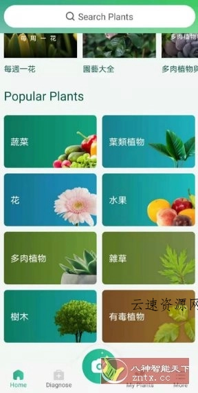 PictureThis 植物识别v5.18.0专业版源码网-手游源码|端游源码|小程序源码|网站模板资源免费分享下载 - 云速资源网多元化资源共享平台