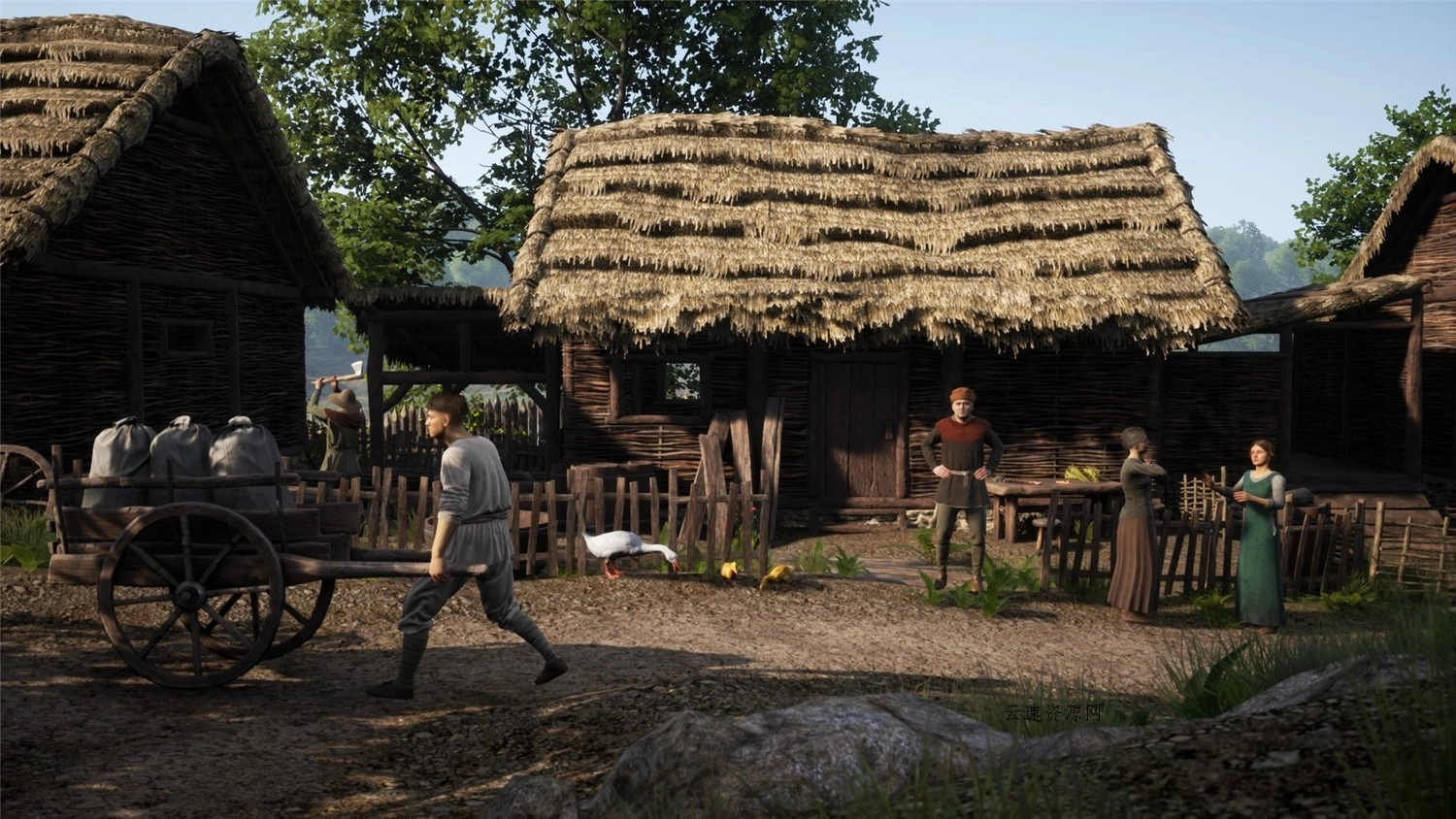 1606039403426145.jpg 1.jpg