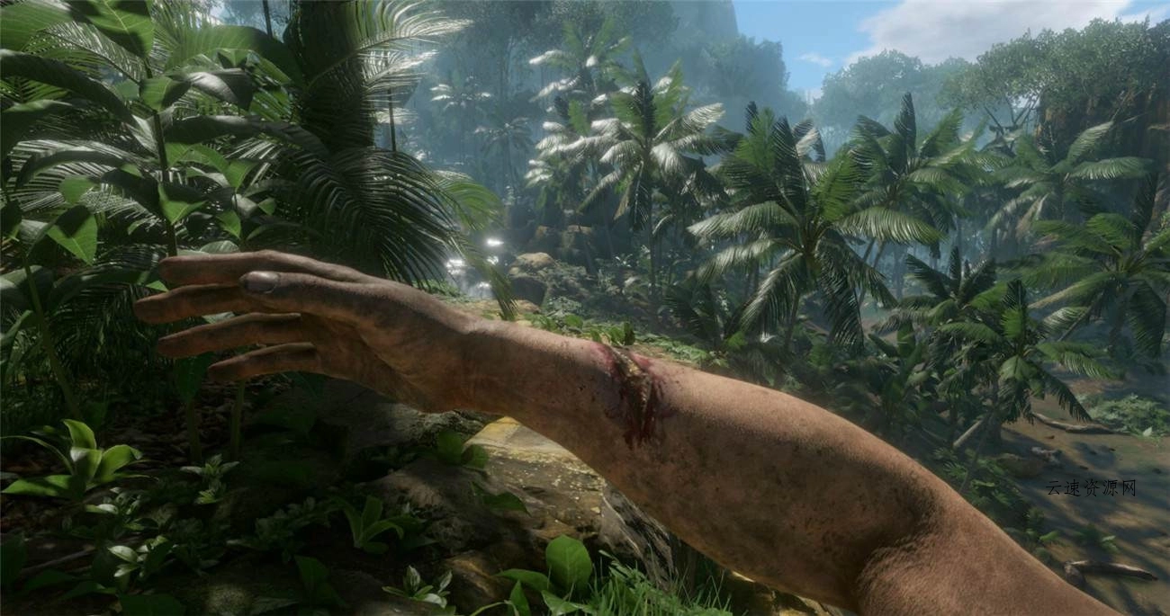 1596526903368702.jpg 2.jpg