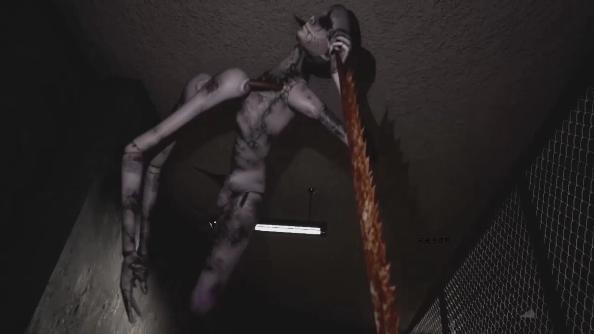 终末期异化/DYSTHANASIA 终末期异化/DYSTHANASIA