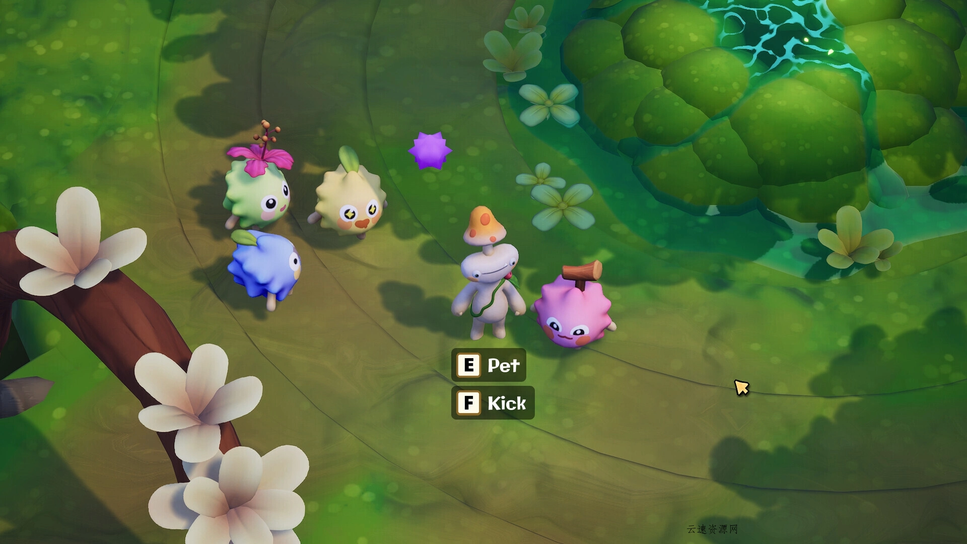 疯菇突围/Funguys Swarm 疯菇突围/Funguys Swarm