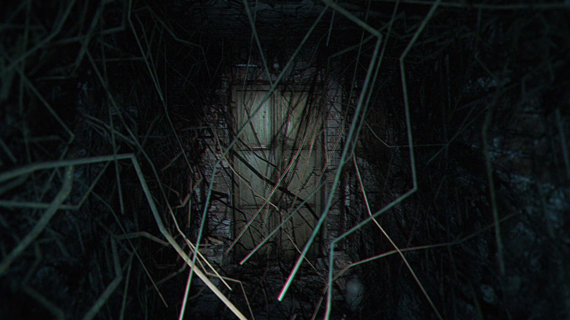 诡异之光/The Strange Lights