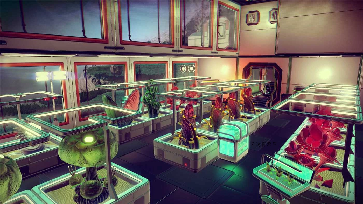 1599028754852065.jpg 7.jpg